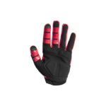 Cycling Gloves